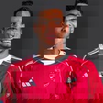 مصطفى العش