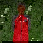 عبدالله عمرو