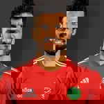 محمود رزق